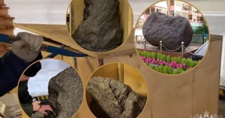 Parecía una simple decoración para el jardín, pero era una pieza del origen del sistema solar