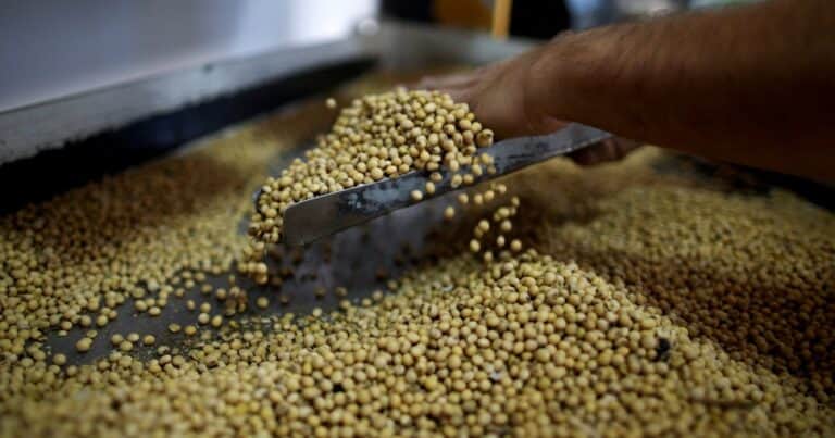 ¿Se viene un rebote de la soja? La soja resiste la presión del USDA y mantiene abierto el camino hacia nuevos máximos
