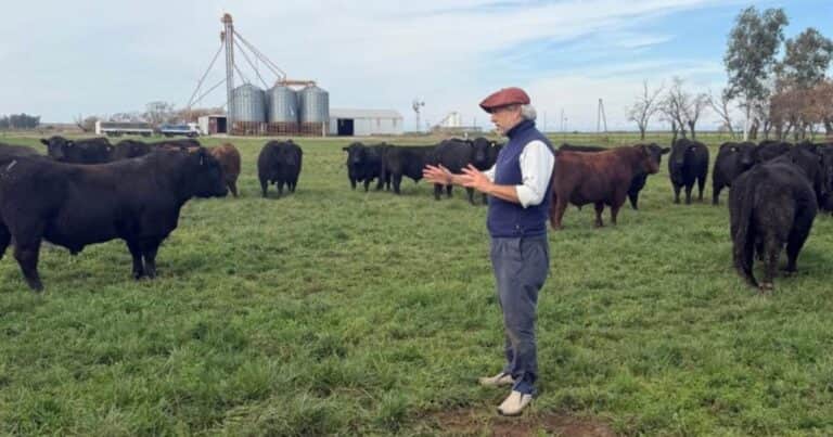 «La isla es un campo más»: así hace Kiko Nazar para tener excelentes resultados produciendo carne en Entre Ríos
