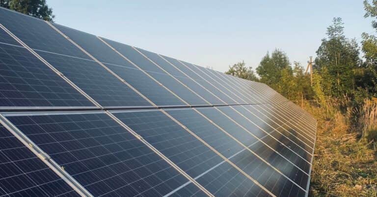 José Portillo, de agricultor a alquilar sus tierras para placas solares: «Antes ganaba 100 euros por hectárea; ahora, 1.900»