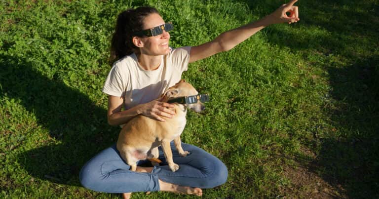 Manuel Manzano, veterinario: “Si tu perro ya sufre ansiedad, un eclipse solar puede hacer que lo pase realmente mal”