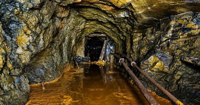 La mayor ex mina de uranio de Europa esconde bacterias que atrapan el material radiactivo del agua