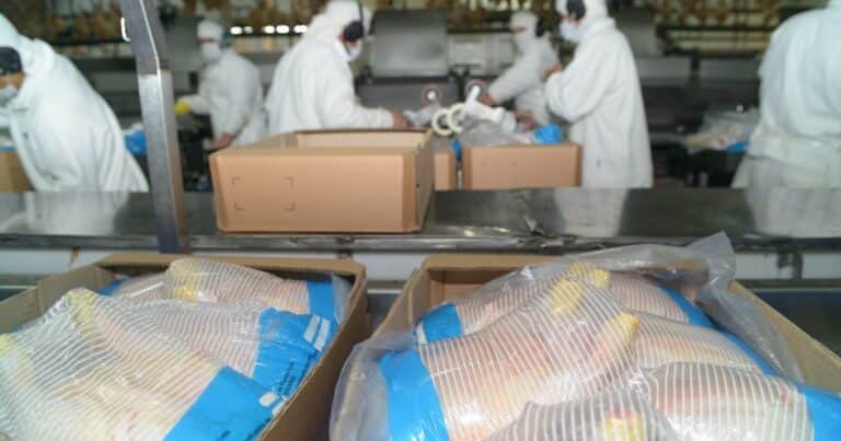 «Nueva oportunidad»: tras la reapertura europea, Argentina logró abrir el mercado surcoreano para la carne aviar