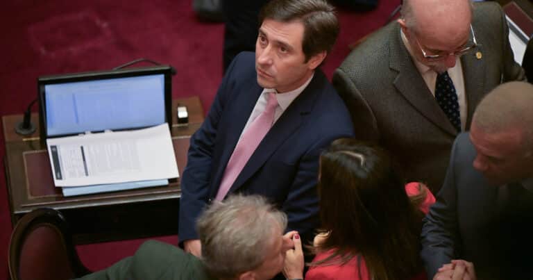 El jefe del bloque del senado del PRO defendió la idea de que el partido tenga un candidato propio en las elecciones 2027