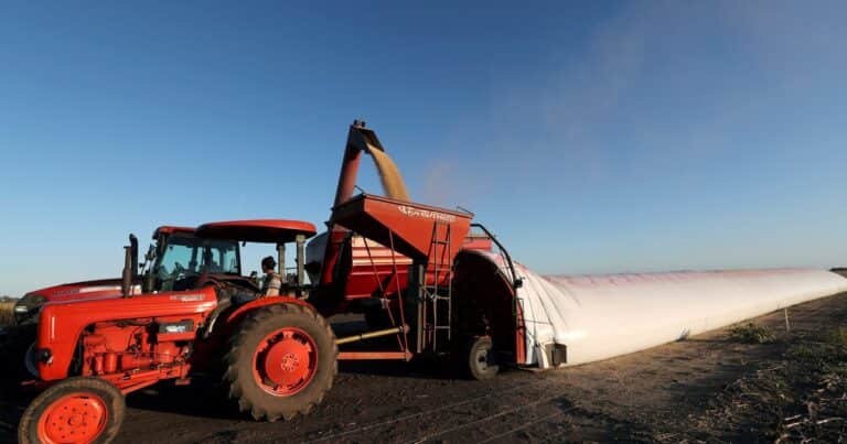 La comercialización de soja continúa retrasada y más de la mitad de la cosecha se encuentra en poder de los productores