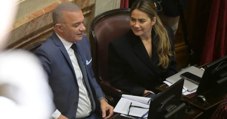La interna misionera suma tensión a la ley de venta de tierras a extranjeros en el Senado