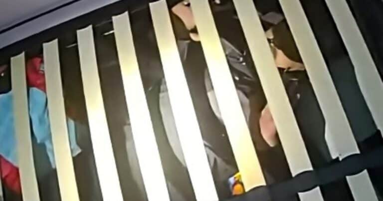 Atropelló, hirió a tres personas y huyó: lo encontraron «acurrucado» bajo la cama