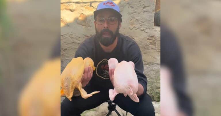 Carlos Porta, ganadero: «Que no te engañen, el color no tiene nada que ver con la calidad del pollo»