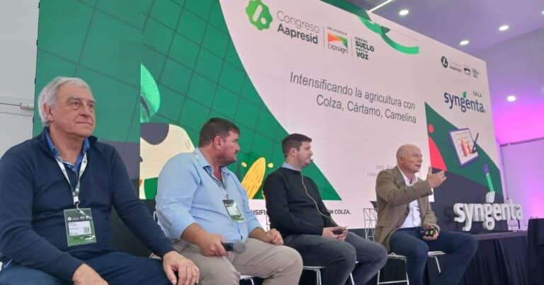 Colza, cártamo y camelina: nuevas opciones en el intenso menú agrícola