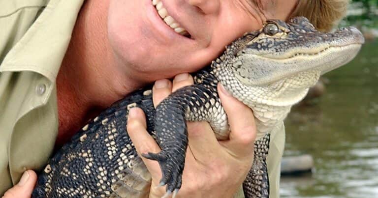 Steve Irwin, zoólogo australiano: «Los cocodrilos son fáciles. Intentan matarte y comerte. Las personas son más difíciles. A veces primero fingen ser tus amigos»