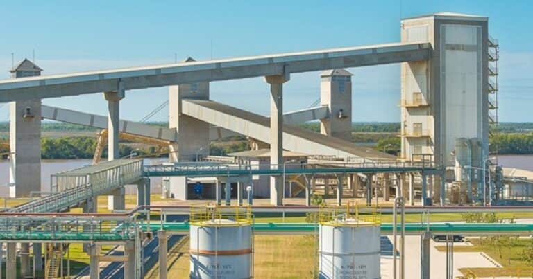 Argentina batió récords de exportaciones de aceite de soja y girasol en junio