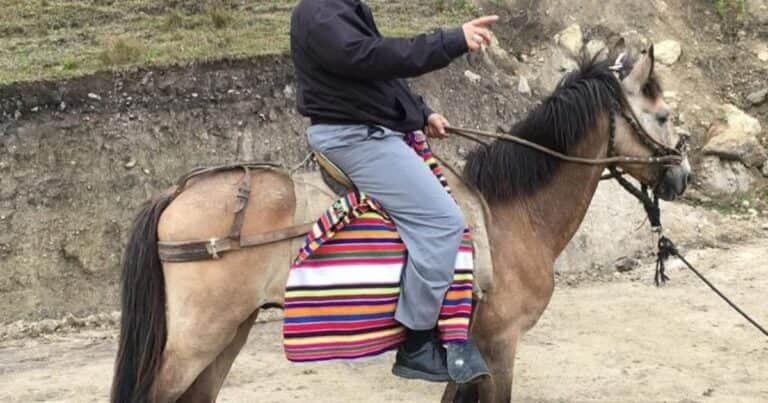 Las visitas anteriores de León XIV a la Argentina: paisajes, empanadas y una biblioteca con el sello de dos papas