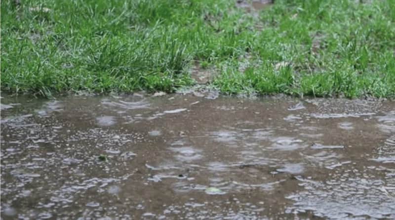 Cuánto llovió este jueves 10 y cómo estará el tiempo: septiembre, ¿un anticipo de El Niño que se viene?