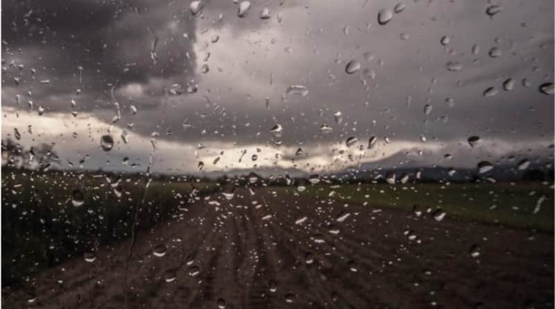 Súper Niño: la Nación informó cómo prepararse y qué tener en cuenta ante un posible aumento de lluvias