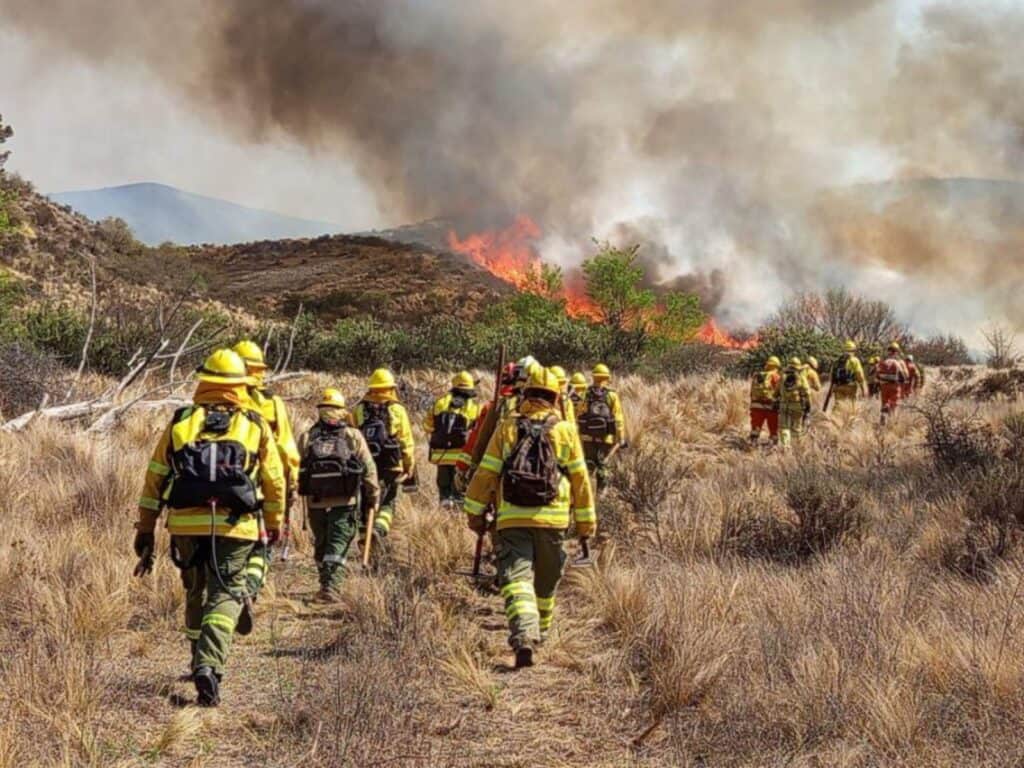 Córdoba: el INTA creó una guía para la prevención de incendios «de todo el año»