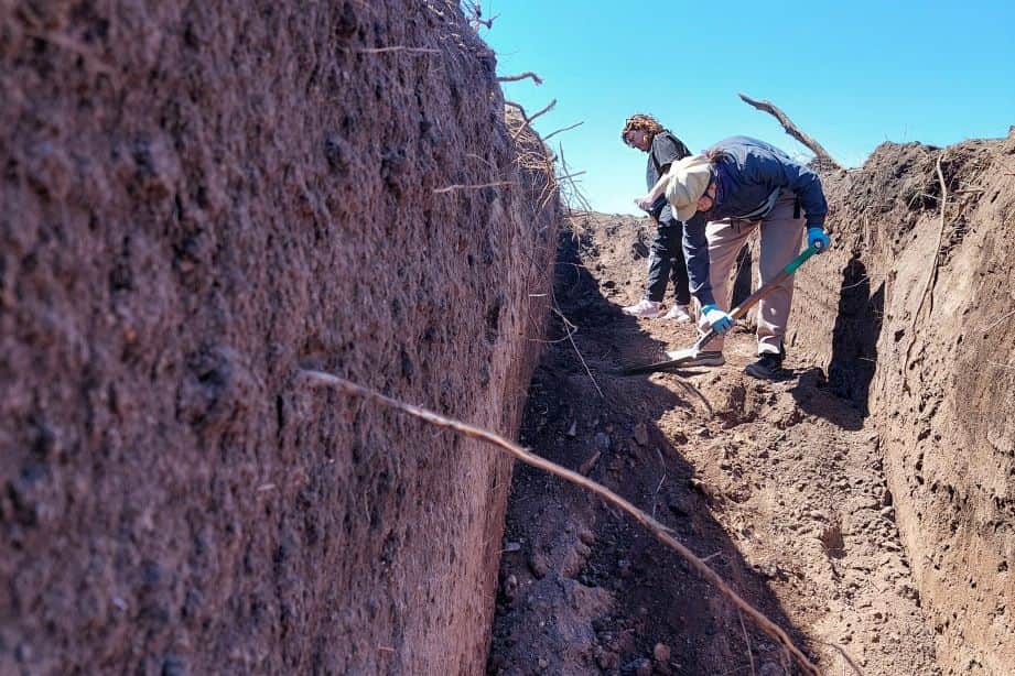 Ocho nuevas identidades restituidas tras los hallazgos en Loma del Torito