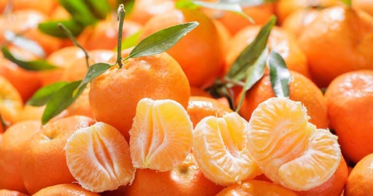 Qué pasa en el cuerpo al comer mandarina todos los días: este es el efecto desconocido que puede afectar la vejiga
