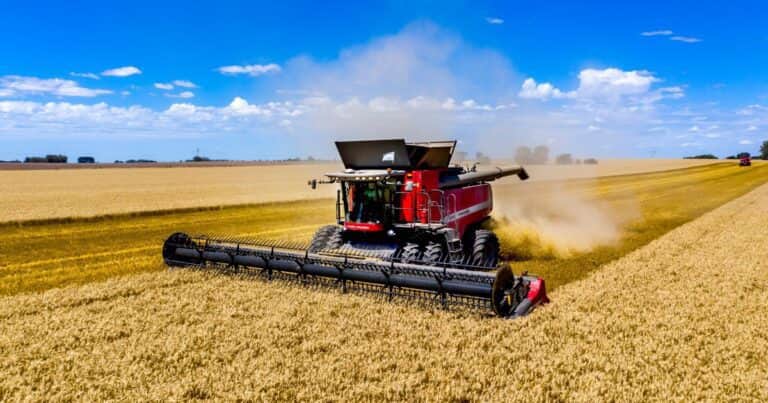 Cosechadora Oficial de Expoagro 2025: una marca que consolida su compromiso con el agro argentino