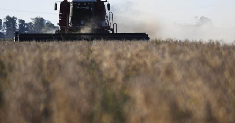 El C-30 enfrenta el problema de los “costos ocultos” de producción