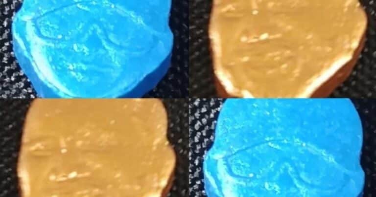 Pastillas de éxtasis con la cara de Bizarrap y Bukele: las rarezas halladas a la entrada de una fiesta electrónica de Mar del Plata