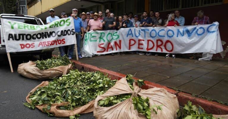 “Estamos más cerca que nunca de un tractorazo»: crece la bronca de los yerbateros por el bajo precio que reciben de su producción
