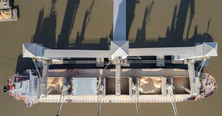 Argentina podría perder el liderazgo en las exportaciones mundiales del producto que más dólares genera