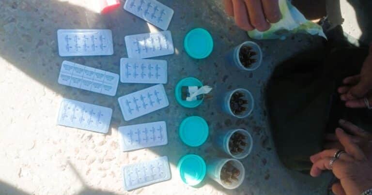 Otro enfermero detenido por traficar fentanilo: lo hacía a bordo de una ambulancia