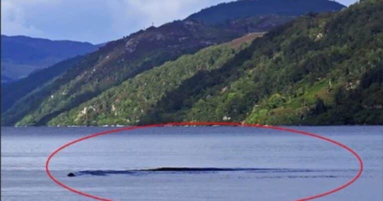 ¿El monstruo del Lago Ness está vivo? Una nueva foto del mito que desafía a la ciencia