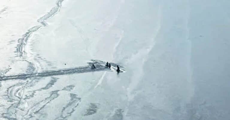 Encuentran con vida a un piloto y dos niñas que se aferraron al ala de un avión que se estrelló en un lago congelado