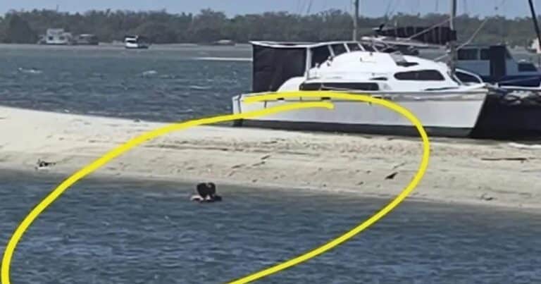 Los captaron teniendo sexo en público: el hombre pidió a la gente que pague por ver