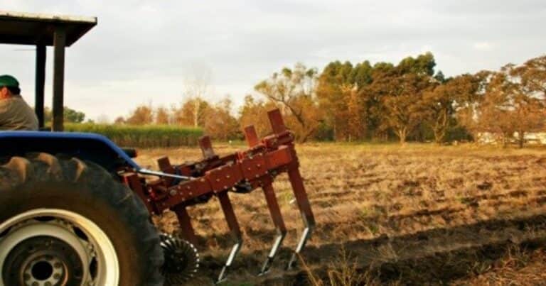 Experiencia en Cuyo: aciertos, desafíos y el gran potencial de la agricultura regenerativa