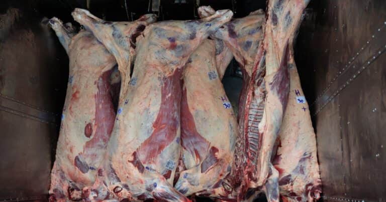Ingreso de carne con hueso a la Patagonia: el Gobierno invitó a gobernadores y dirigentes rurales a una mesa de diálogo y trabajo