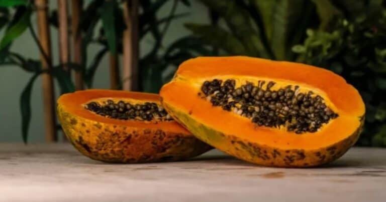 Cómo consumir las semillas de papaya y aprovechar sus beneficios