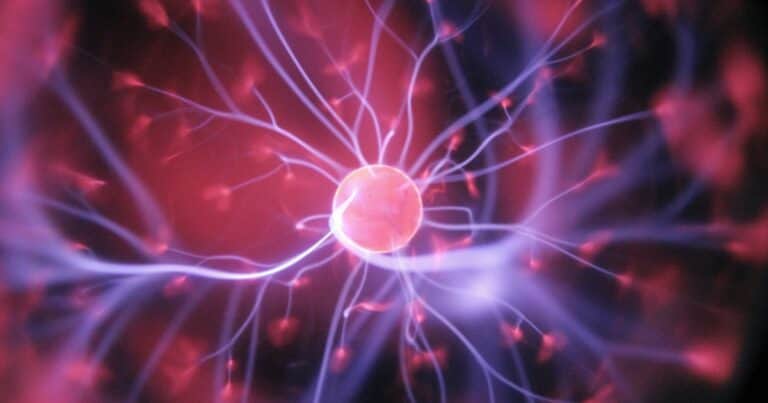 Lo que la ciencia revela sobre tu cerebro cuando mirás una película
