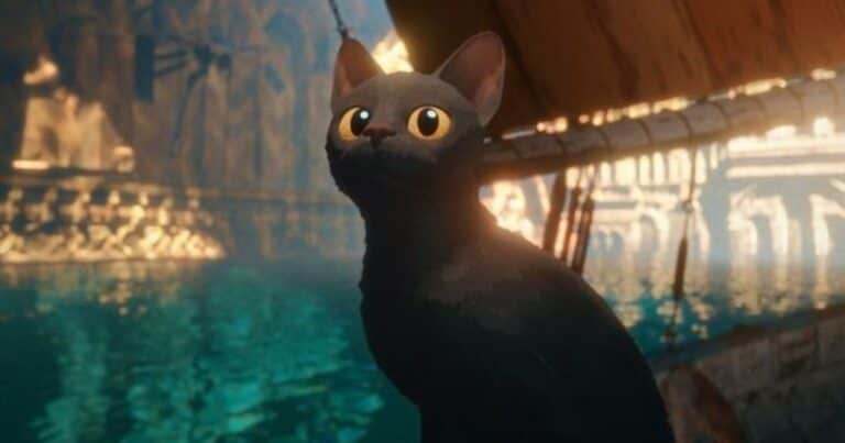 El fenómeno «Flow»: la película animada ganadora del Oscar impulsa la adopción de gatos negros