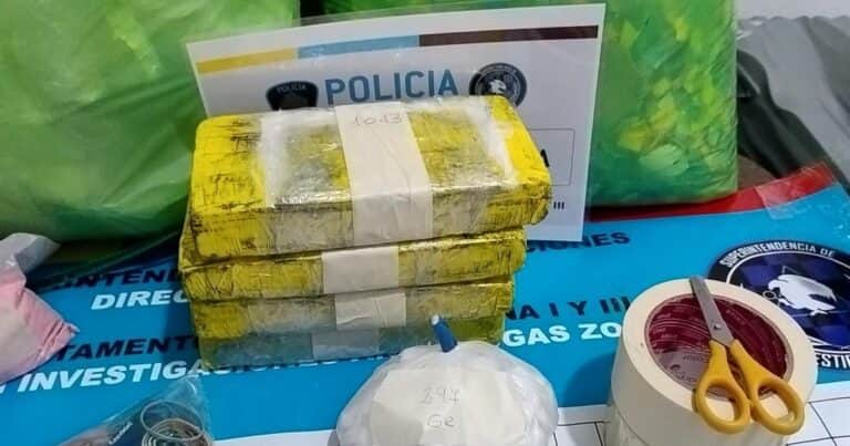 Desmantelaron a una banda que vendía cocaína en La Paternal: usaban envoltorios con el sello de un delfín