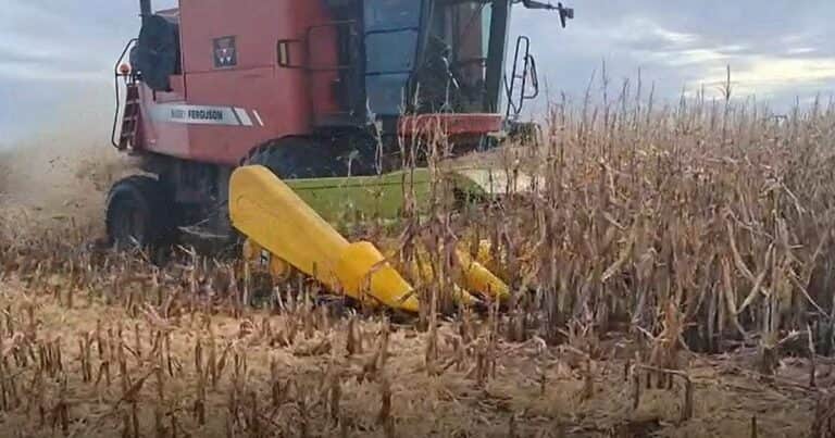 En marzo cayeron las exportaciones y volvió a bajar el superávit comercial