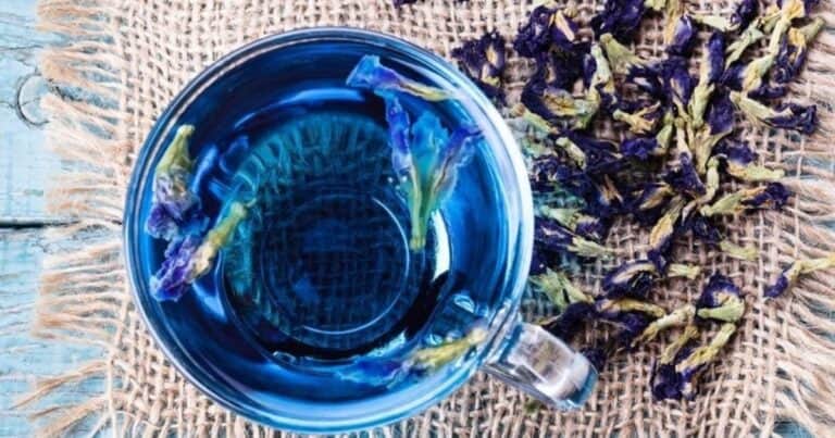 Palo azul: cómo consumir la planta que alivia la artrosis y cuida los riñones