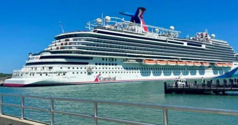 El video de la insólita pelea que se desató en un crucero: 24 pasajeros fueron vetados y no podrán volver a navegar