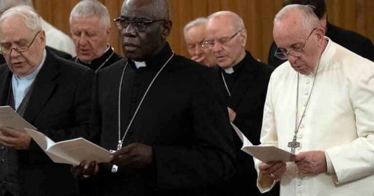 Las escandalosas declaraciones de Robert Sarah: quién es el cardenal que sueña con ser el «primer papa negro» y suceder a Francisco