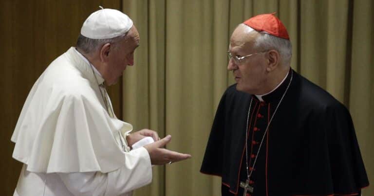 Quién es Peter Erdo, el cardenal «camaleónico» que podría ser elegido papa: qué ideas comparte con Robert Sarah y cómo era su vínculo con Francisco