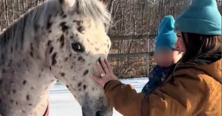 Una mujer descubrió que estaba embarazada gracias a la extraña conducta de su caballo