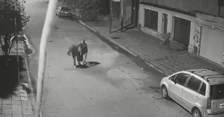 Balearon a una policía de la Ciudad de Buenos Aires en un intento de robo en Bernal: cómo está la víctima