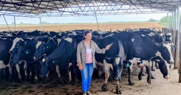 «El 50% de la producción es el buen trato»: el secreto de una tambera santafesina