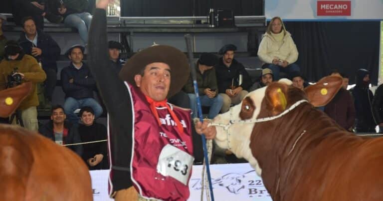 Las Nacionales 2025: lo mejor de la genética bovina y equina llega a Corrientes