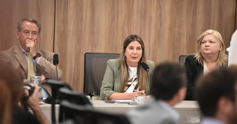La advertencia de la ideóloga de Ficha Limpia que hizo posponer el tratamiento en el Senado