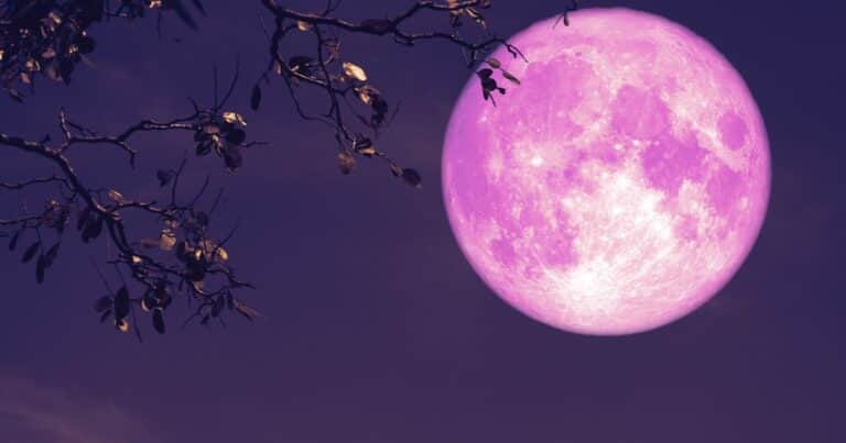 Cuándo es la Luna llena de junio 2025: dónde y cómo ver la Luna de Fresa