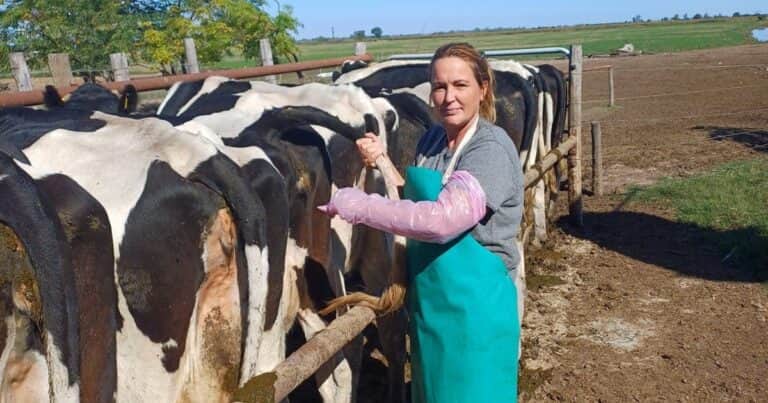 “Me gusta estar con las vacas”: se crió entre los animales y hoy disfruta de su sueño que se hizo realidad