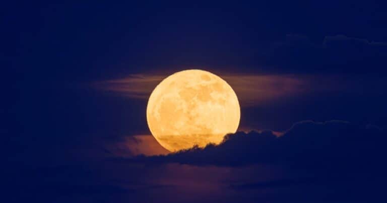 Google celebra las fases de la Luna con un doodle interactivo: «The Rise of the Half Moon»