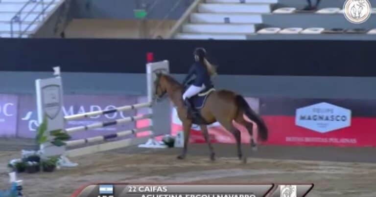 La increíble razón por la cual la mujer del narco «Calavera» no tenía tobillera y cayó en una competencia top de caballos